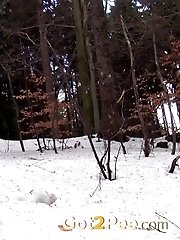 15 pictures - Snowy Stream