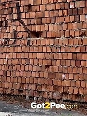 15 pictures - Sunny Day