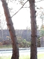 15 pictures - Little Puddle