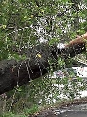 15 pictures - Splash By The River