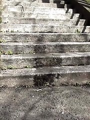 15 pictures - Dark haired girl pisses on concrete steps