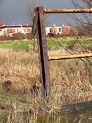 15 pictures - Blonde babe in glasses pisses outside