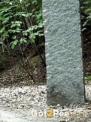 15 pictures - Peachy Ass