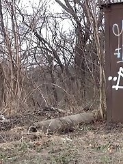 15 pictures - Train Line