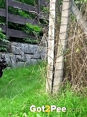 15 pictures - Woof Woof