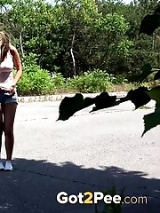 15 pictures - Shadowed Puddle