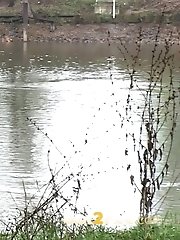 15 pictures - Rainy River