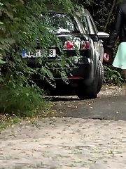 15 pictures - Autumn Leaves