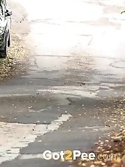 15 pictures - Autumn Leaves