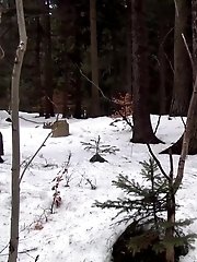 15 pictures - Snowy Stream