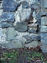 15 pictures - Blonde in Coral