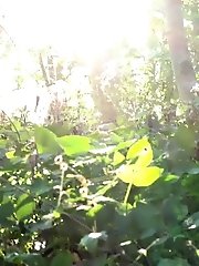 15 pictures - ass is on full view in this outdoor peeing scene