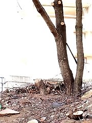 15 pictures - Cute blonde in glasses pisses over the ground