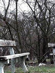 15 pictures - Hot blonde pisses while on a park bench