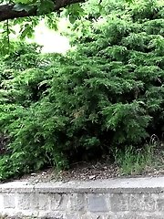15 pictures - Pee Stop