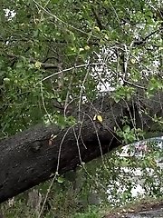 15 pictures - Splash By The River