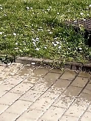 15 pictures - Redhead Sprinkler
