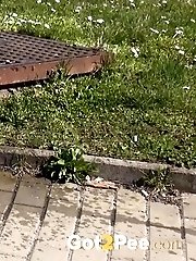 15 pictures - Redhead Sprinkler