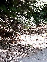15 pictures - Cyclist Passes By