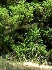 15 pictures - Meadow