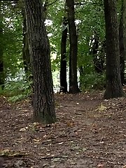15 pictures - Camo Pants