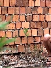 15 pictures - Brick Wall