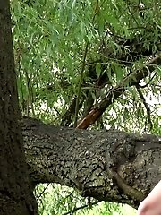 15 pictures - Happy Branch