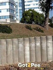 15 pictures - Public Pussy Pissing