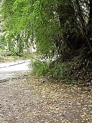 15 pictures - Dark haired babe sprays her piss over the floor