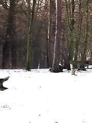 15 pictures - Sweet blonde pees onto a wooden bench outside