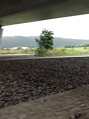 15 pictures - Exotic babe squats to piss near main road