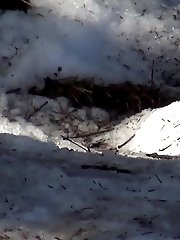 15 pictures - Pretty brunette lifts up her skirt to piss in the snow