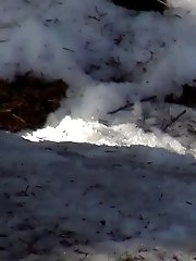 15 pictures - Pretty brunette lifts up her skirt to piss in the snow