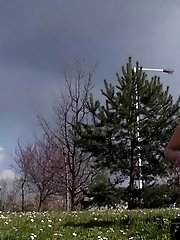 15 pictures - Redhead Sprinkler