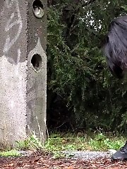 15 pictures - Pink and Black