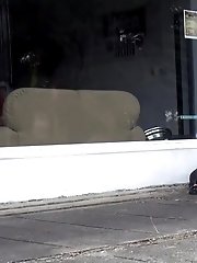 15 pictures - Shop Window