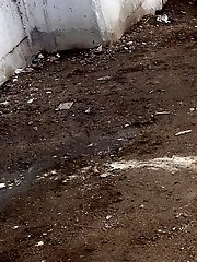 15 pictures - Brunette teen pees in front of passing traffic