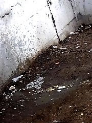 15 pictures - Brunette teen pees in front of passing traffic