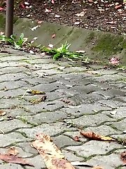 15 pictures - Dark haired chubby girl needs to pee badly