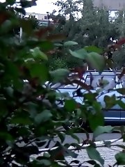 15 pictures - Redhead babe leans against a post to pee