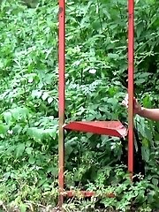 15 pictures - Pretty brunette pees next to a bus stop