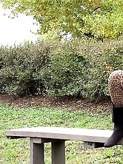 15 pictures - Dark haired babe in leggings pisses outside