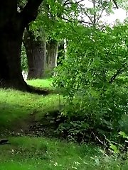 15 pictures - Upskirt