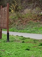 15 pictures - Bench Pissing