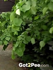 15 pictures - Netting