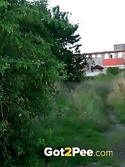 15 pictures - Who Let The Dogs Out