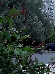 15 pictures - Redhead babe leans against a post to pee