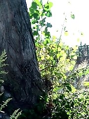 15 pictures - Hot babe takes off her shorts to piss outside