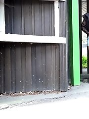 15 pictures - Waistcoat Weeing