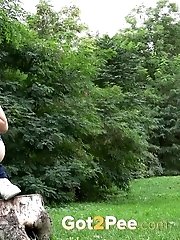 15 pictures - Woodland